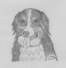 Kona