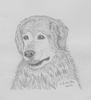 Oscar